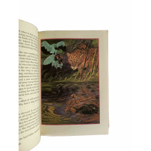 Reader's Digest Condensed Books - Volume 2 - 1969