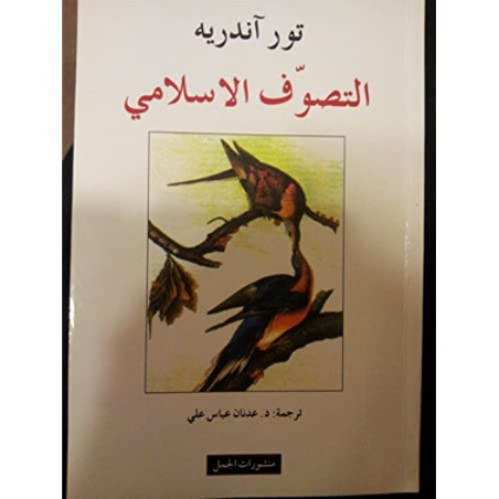 التصوف الإسلامي