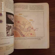 العلوم الطبيعية - السنة الثالثة الثانوية شعبة العلوم التجريبية