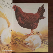 حيوانات صغيرة