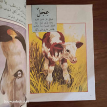 حيوانات صغيرة