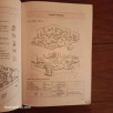 English in Life - Student's Book 1ère Année Seconadire