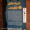 الحياة ما قبل الأهرامات