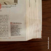 L'encyclopédie des jeunes du XXIe siècle
