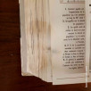 L'encyclopédie des jeunes du XXIe siècle