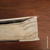 L'encyclopédie des jeunes du XXIe siècle