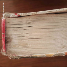 L'encyclopédie des jeunes du XXIe siècle