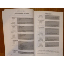 Guide des bijoux et pierres d'énergie Wolfgang Hahl