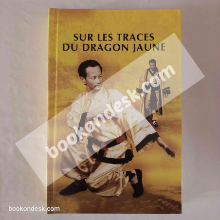 Sur les traces du dragon jaune