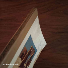 الجديد في تاريخ المغرب (1958) محمد محيي الدين المشرفي