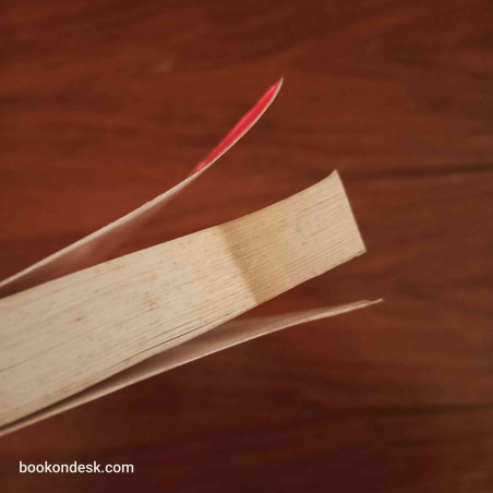 تاريخ المسلمين الموحدين "الدروز"