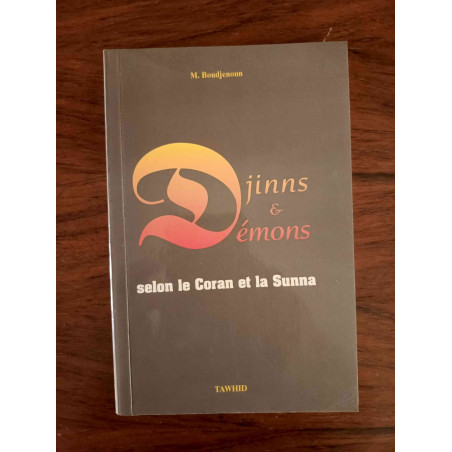 Djinns et Démons selon le Coran et la Sunna