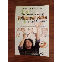 Comment devenir follement riche rapidement