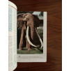Discover Kenya