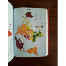 L'année stratégique 2013