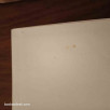 Records Le grand livre 2004