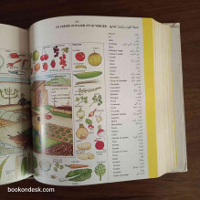 Dictionnaire Larousse Français - Français - Arabe 1997