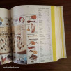 Dictionnaire Larousse Français - Français - Arabe 1997
