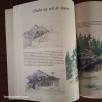 Paysages de montagne