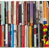 Novels & Other Literary Genres