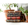 Deluxe Books, Fine Bindings & Encyclopedias